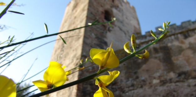 parque-del-castillo